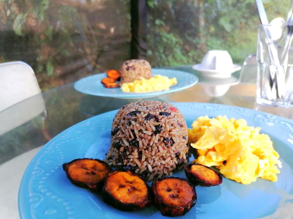Rustico Arenal B&B La Fortuna Ngoại thất bức ảnh