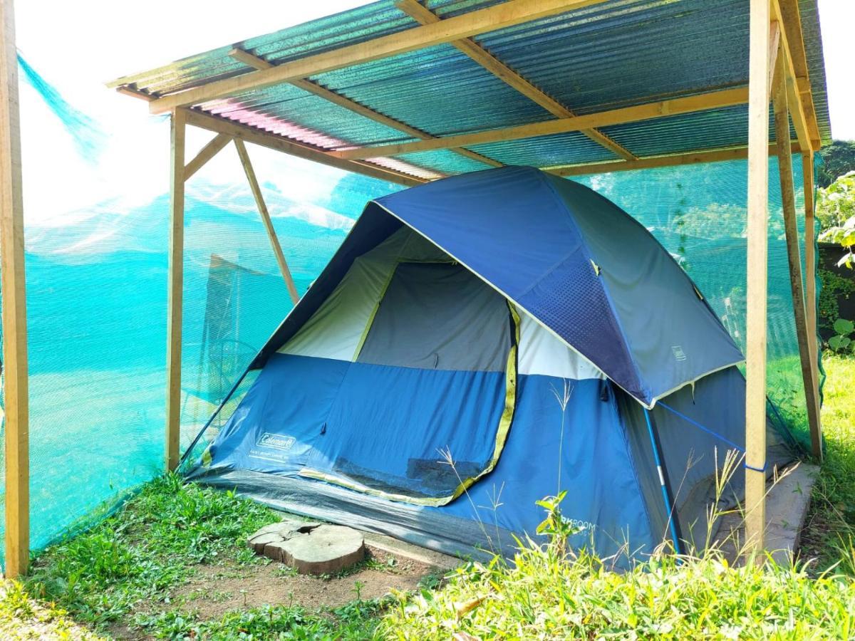 Rustico Arenal B&B La Fortuna Ngoại thất bức ảnh