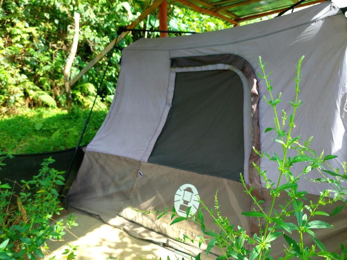 Rustico Arenal B&B La Fortuna Ngoại thất bức ảnh