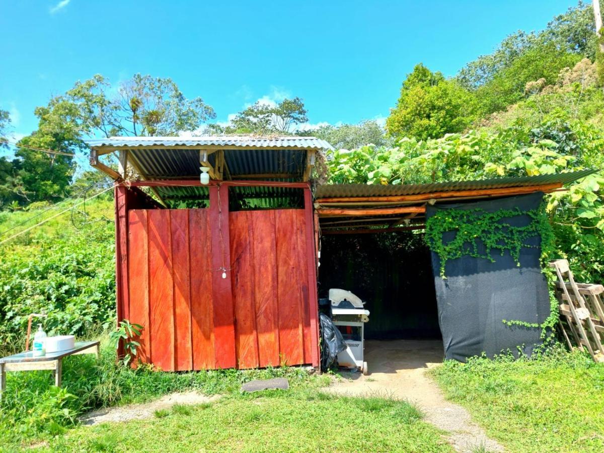 Rustico Arenal B&B La Fortuna Ngoại thất bức ảnh