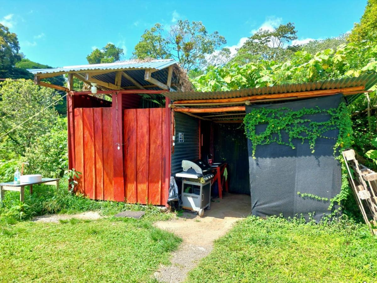 Rustico Arenal B&B La Fortuna Ngoại thất bức ảnh